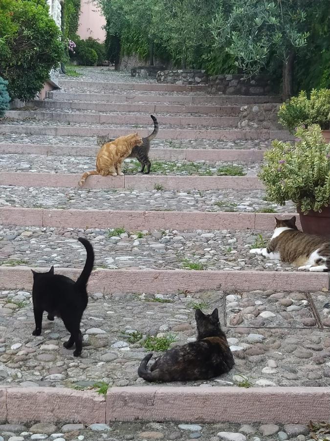Appartamento La Scaletta Cavaion Veronese Extérieur photo